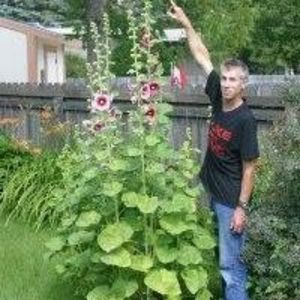 Meet your Posher, Don